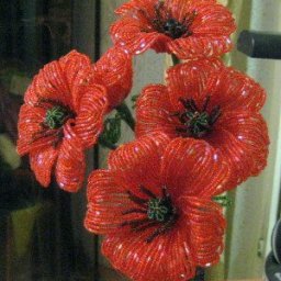 ​Маки  из рубки