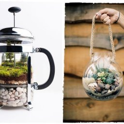 Очень милые идеи для декора с суккулентами