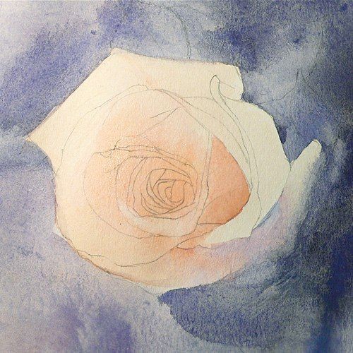 Рисуем розу акварелью