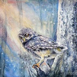 Урок рисования: сова