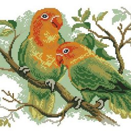 ​Вышиваем попугайчиков неразлучников