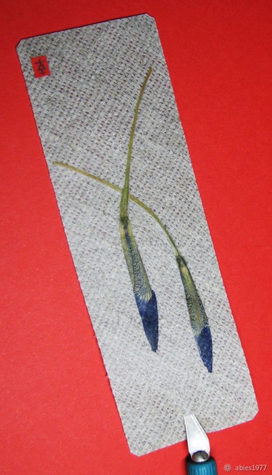 Оригинальная закладка своими руками