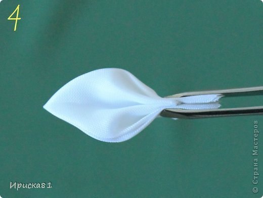 Правдоподобный и изумительно красивый нарцисс