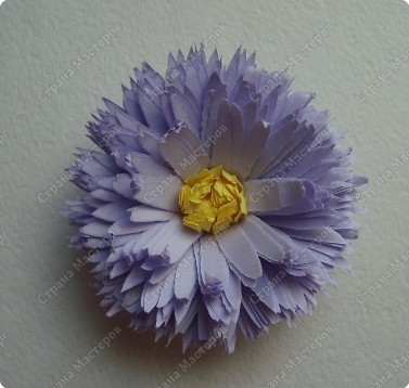 Прекрасная картина с астрами