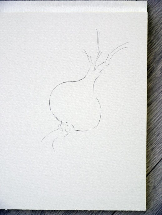 ​Рисуем головки лука