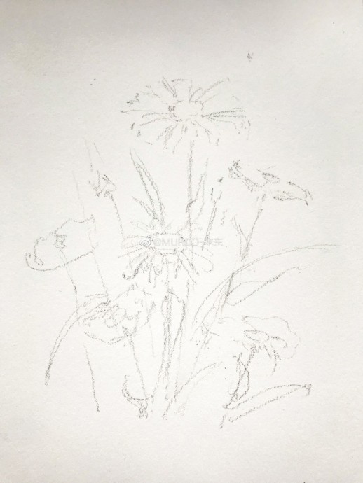 Урок рисования акварелью: ромашки