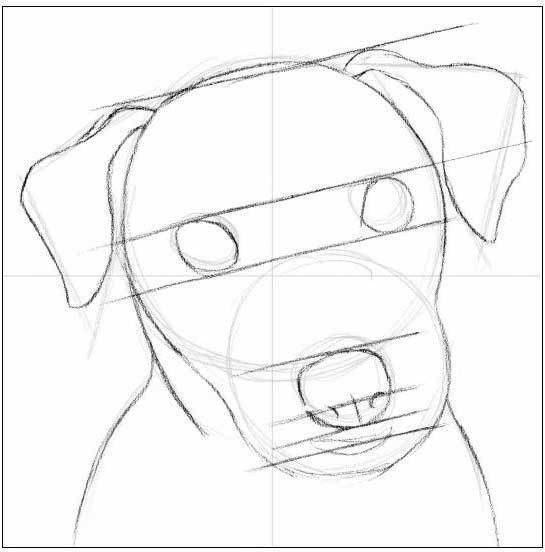 ​Рисуем бесконечно милую собачку простым карандашом