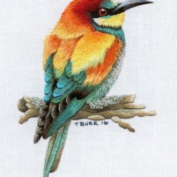 ​Вышивка гладью птичек