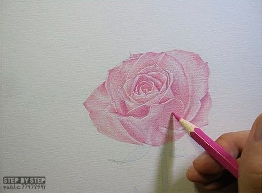 ​Чудесная роза карандашом