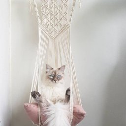 ​Идеи подвесных лежанок для кошек