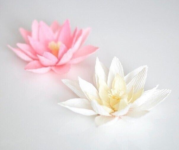 Нежные лотосы из гофре бумаги