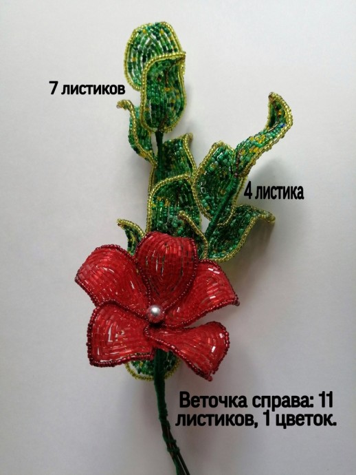 Очарование: мастер-класс