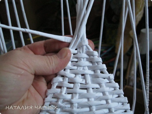 Лебедь из газет