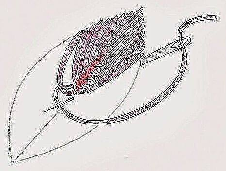 ​Интересные элементы вышивки