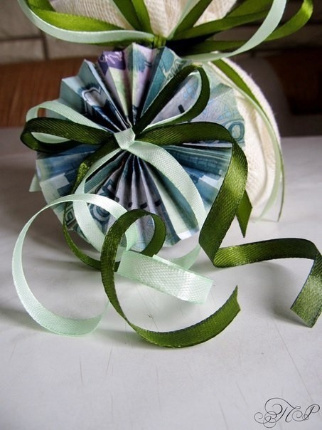 Денежное дерево