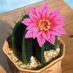 Цветущий кактус из бисера: идеи для вдохновения