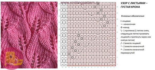 Джемпер спицами, связанный очень красивым узором