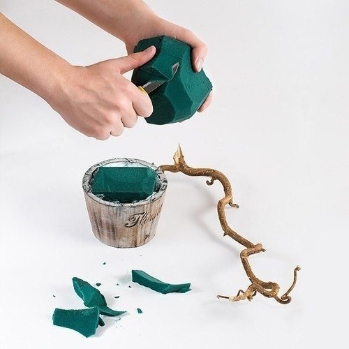 Мандариновое дерево Мандариновое дерево