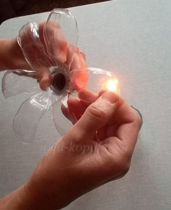 Цветы из пластиковых бутылок