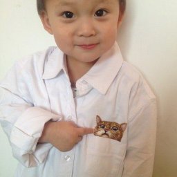 ​Кошки в карманах