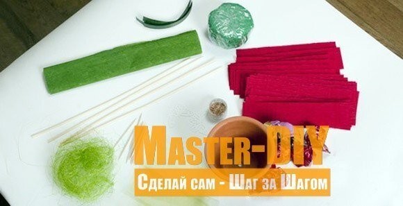 Тюльпаны с шоколадным сюрпризом