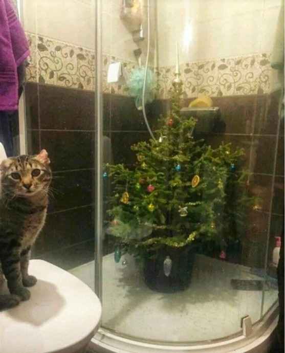 ​Антивандальные варианты ёлочек