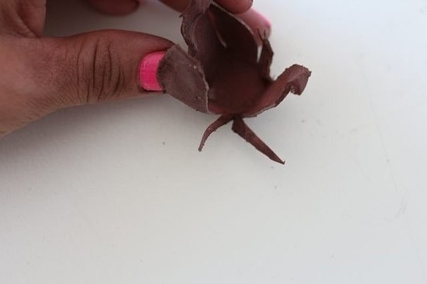 Нежные цветы хлопчатника Нежные цветы хлопчатника