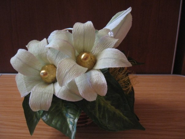 ​Роскошные цветы