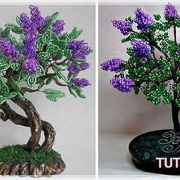 Прекрасная сирень