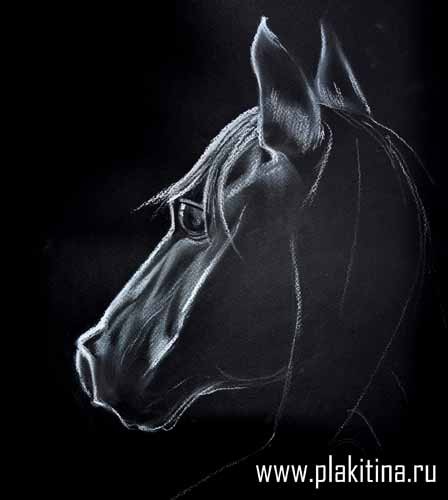 Рисуем белой пастелью черного коня