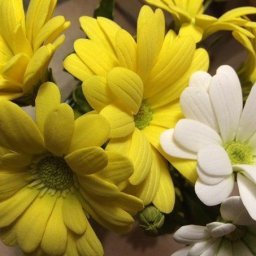 Хризантема из фоамирана