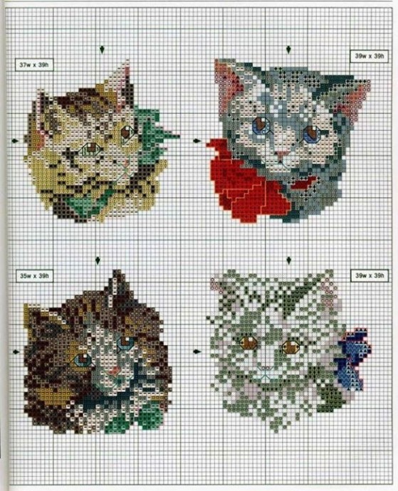 ​Кошки в карманах