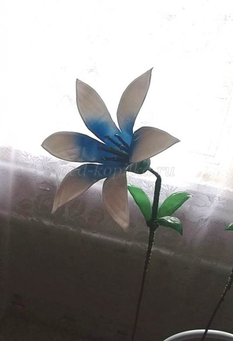 Цветы из пластиковых бутылок для сада: мастер-класс Цветы из пластиковых бутылок для сада: мастер-класс