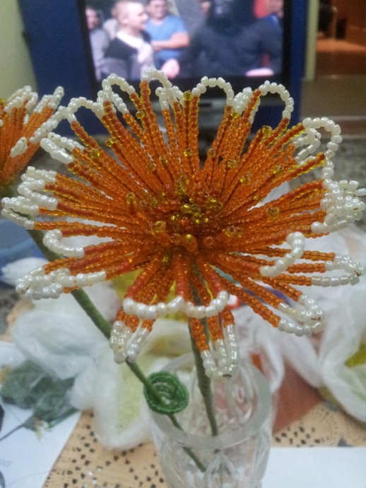 Милый оранжевый цветочек с белыми кончиками