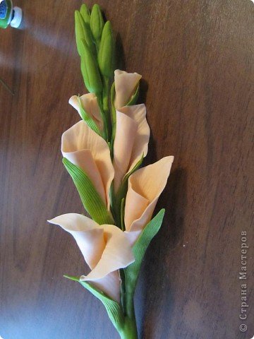 Гладиолус из холодного фарфора