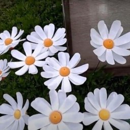 Ромашки своими руками