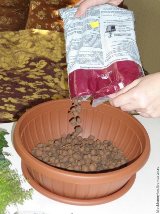 Сад в миниатюре: мастер-класс