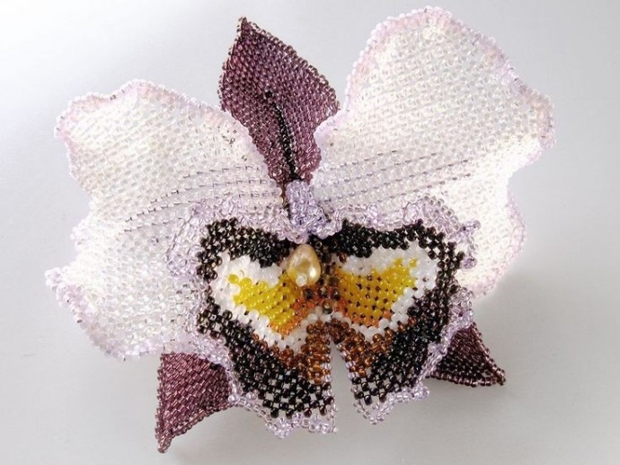 Красота для вашего вдохновения Красота для вашего вдохновения