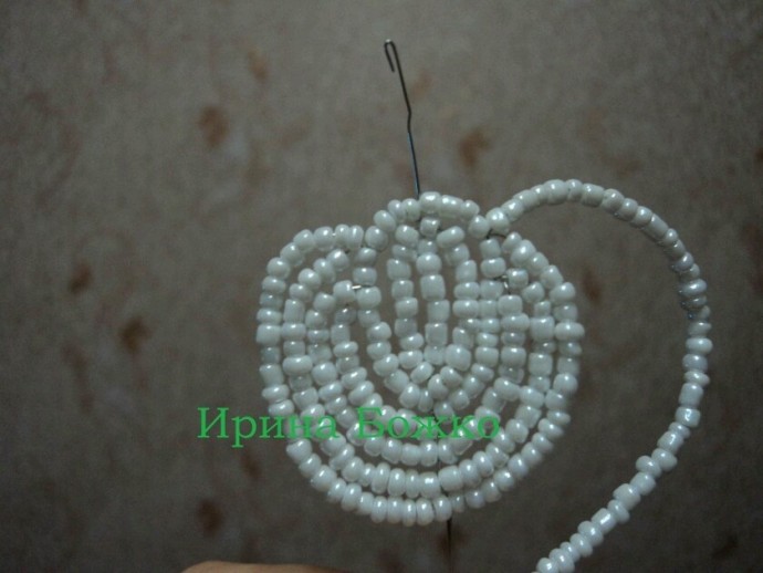 Белая орхидея