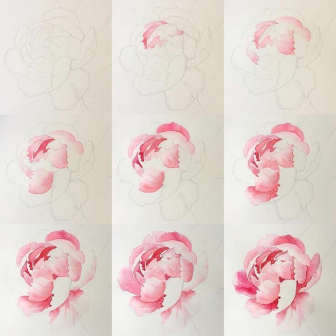 Рисуем цветок акварелью