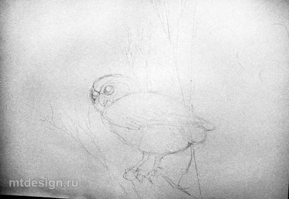 Урок рисования: сова