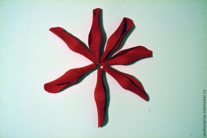 Флористика: роза