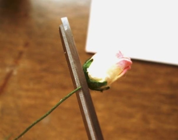 Открытка с розочками: мастер-класс