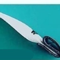 Оформление молнии для сумки