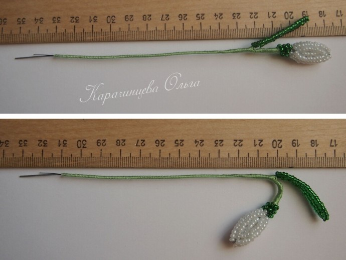 ​Нежные подснежники