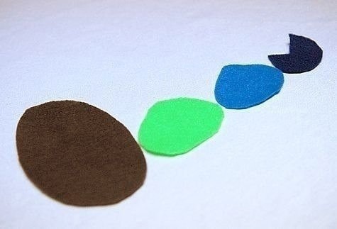 Хвост павлина