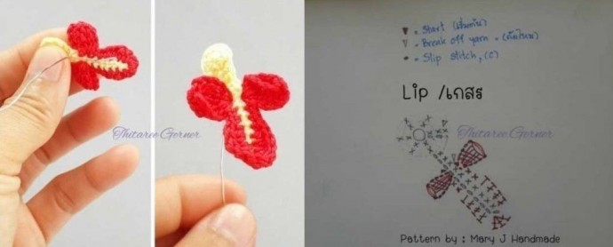 ​Орхидея крючком