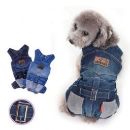 Джинcовый комбинeзон для нeбольшой cобачки