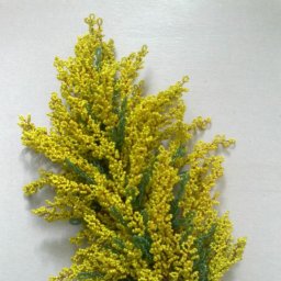 Мимоза из бисера: идеи и мастер-класс