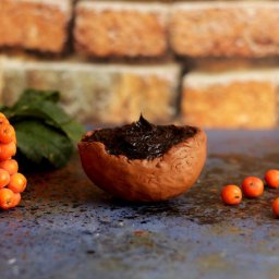 Шампуневое бельди на соке и с берёзовым дёгтем